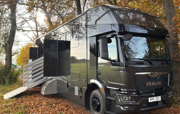 MAN TGM 15.290 WMS POP OUT