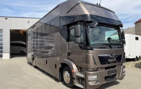 MAN TGM 15.290 WMS POP OUT
