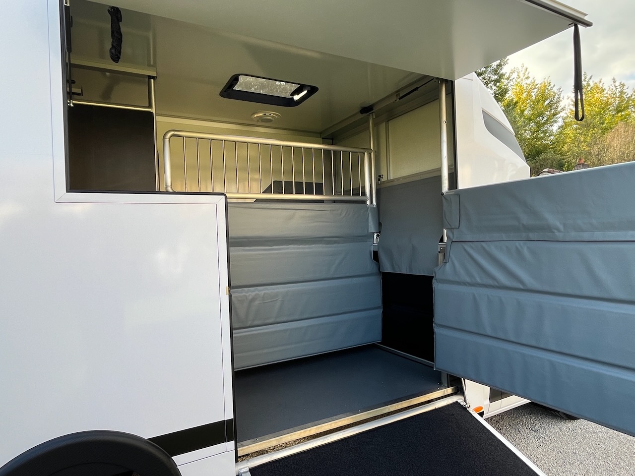 maxus msg stallion light snowwhite glanz24