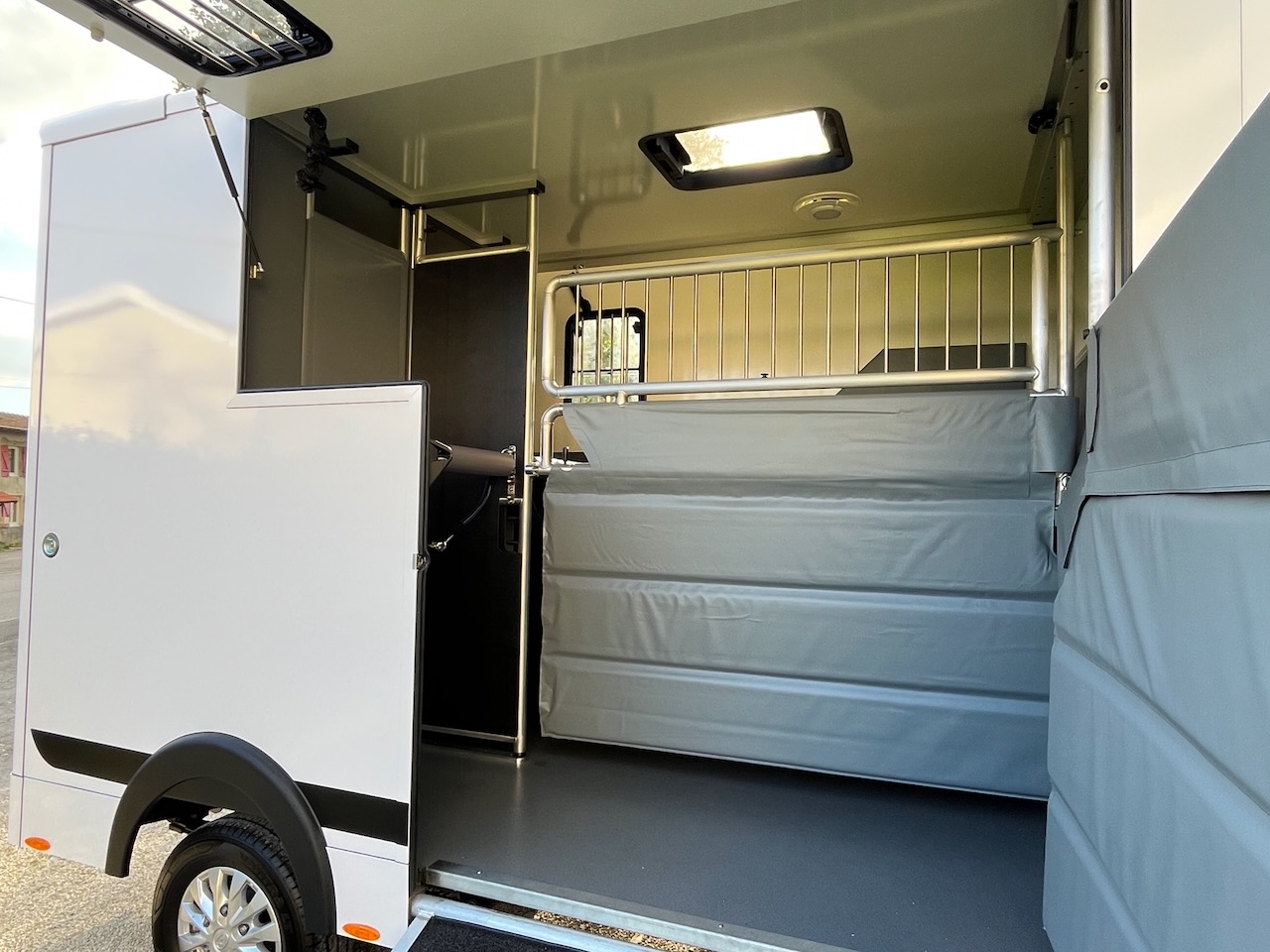 maxus msg stallion light snowwhite glanz25