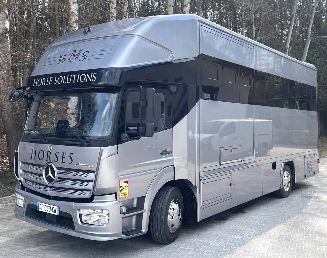 MERCEDES-BENZ ATEGO 1223 WMS POP OUT