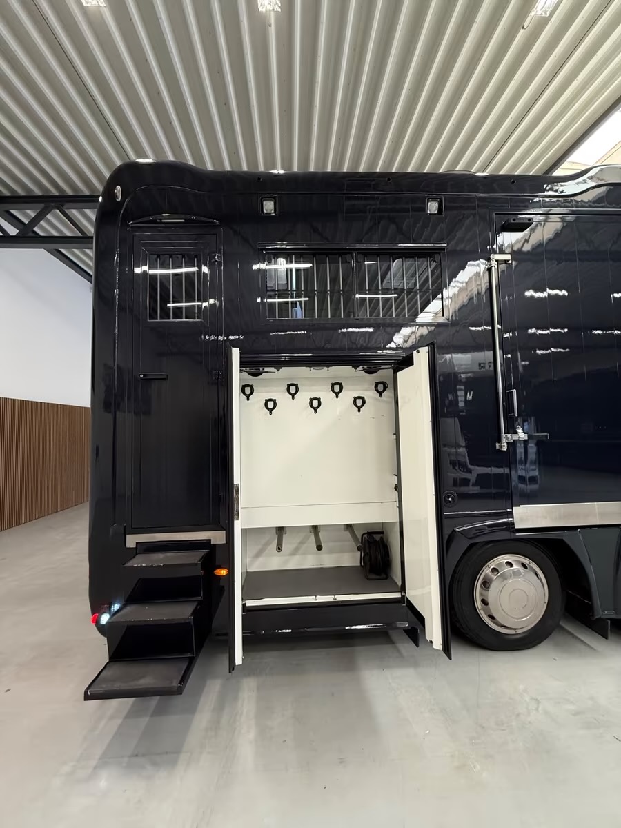 renault magnum 480 stx absolute7